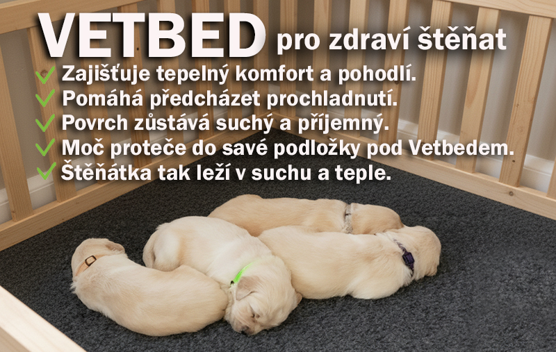 stenata Vetbed w bez merina
